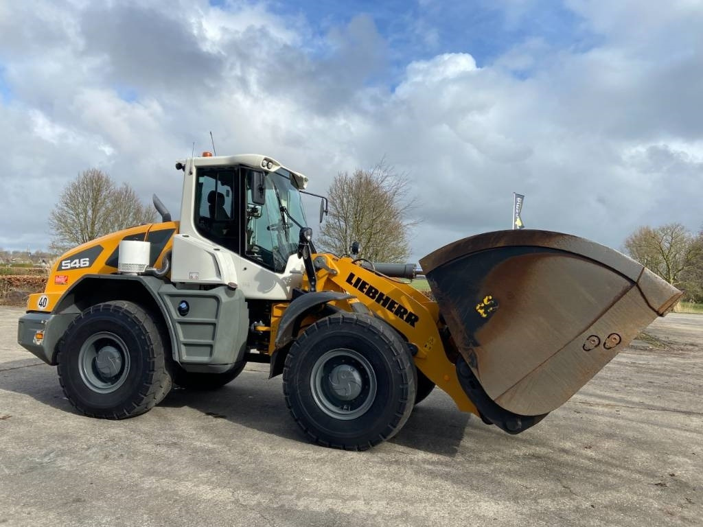 Liebherr L546 - Kolesový nakladač: obrázok 2 Liebherr L546 - Kolesový nakladač: obrázok 2