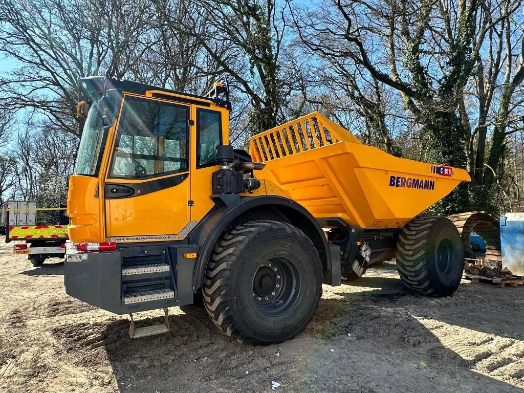 Bergmann C815S - Ťahačový kĺbový damper: obrázok 3 Bergmann C815S - Ťahačový kĺbový damper: obrázok 3