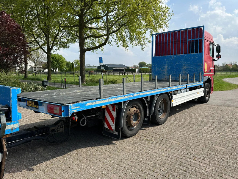 Valníkový/ Plošinový nákladný automobil DAF XF 105 460 FAN BAKWAGEN/PRITSCHE!!: obrázok 6