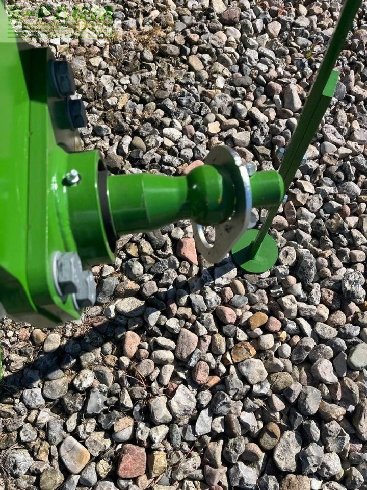 Amazone teres - Pluh: obrázok 4 Amazone teres - Pluh: obrázok 4