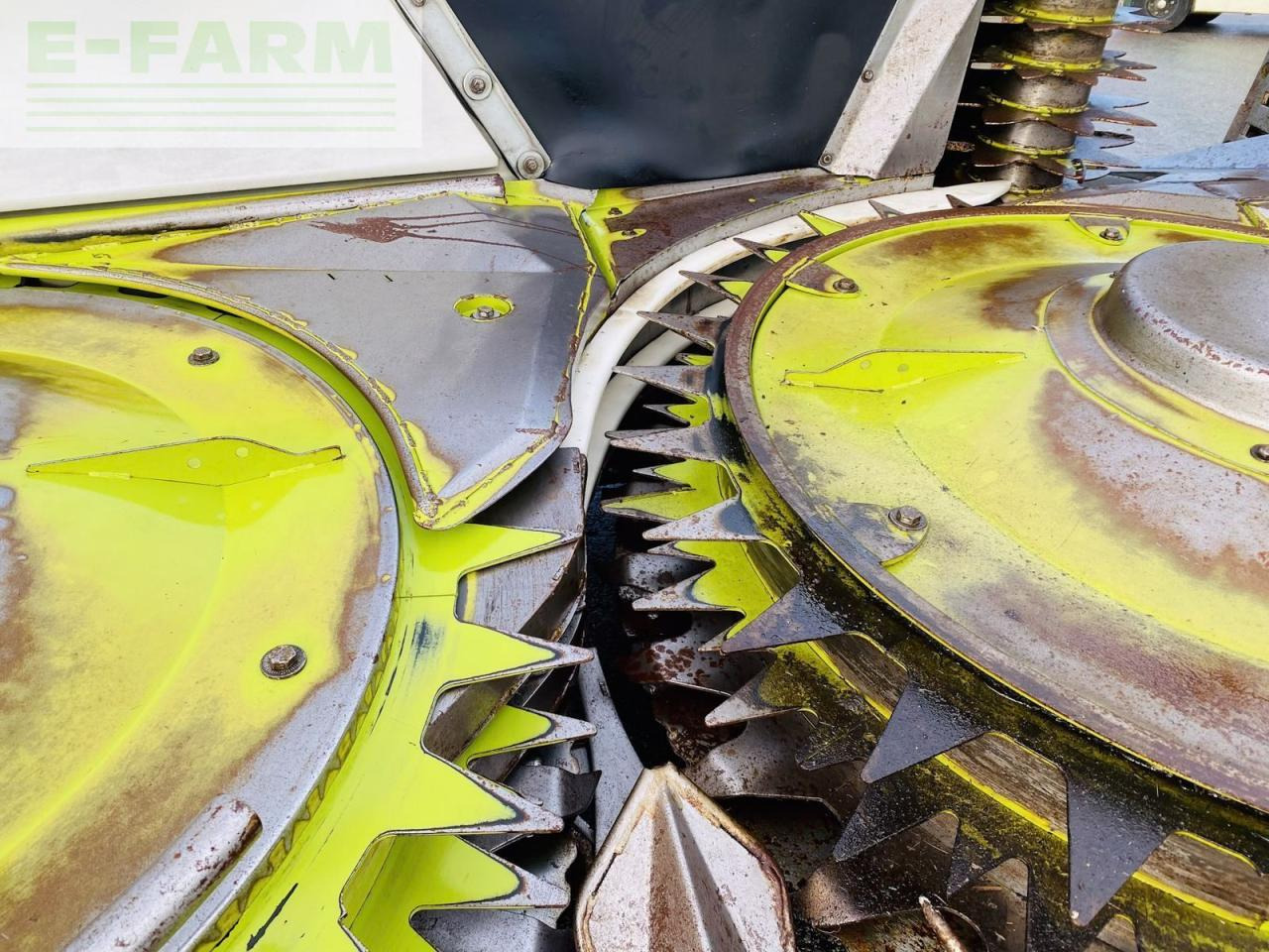 Příslušenstvo pro řezačky CLAAS orbis 600 - gebrauchtes maisgebiss / maisvorsatz: obrázok 14 Příslušenstvo pro řezačky CLAAS orbis 600 - gebrauchtes maisgebiss / maisvorsatz: obrázok 14