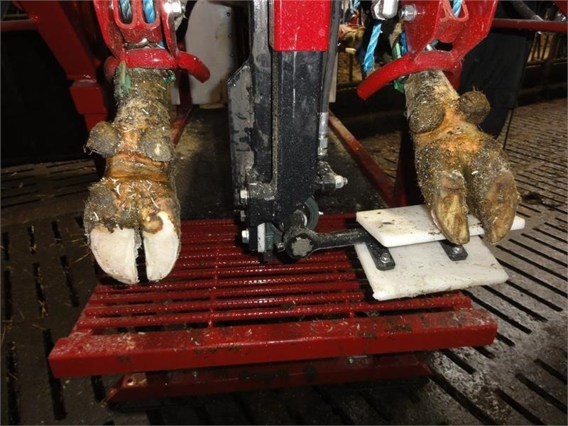 Pomi Std1 Fabriksny - Stroj a zariadenia na chov hospodárskych zvierat: obrázok 4 Pomi Std1 Fabriksny - Stroj a zariadenia na chov hospodárskych zvierat: obrázok 4