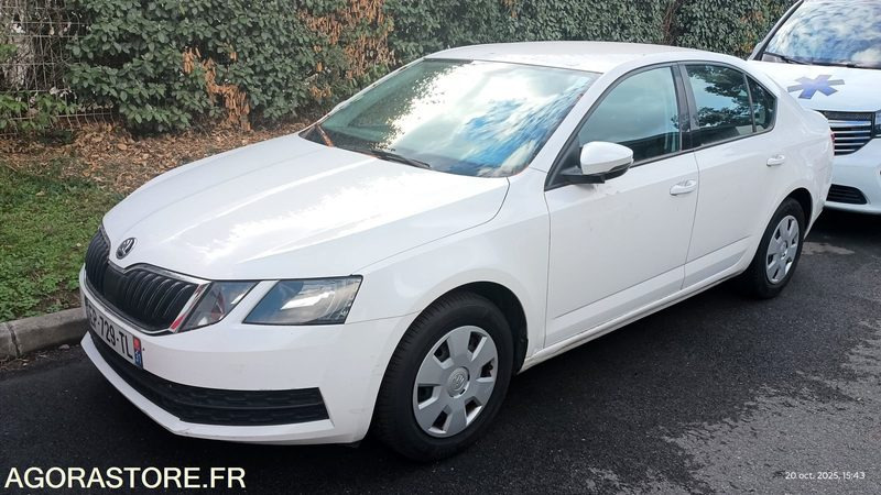 EP-729-TL - Non Roulant - SKODA OCTAVIA - VP -  349 390 Kms - Automobil: obrázok 1 EP-729-TL - Non Roulant - SKODA OCTAVIA - VP -  349 390 Kms - Automobil: obrázok 1