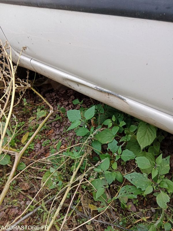 FIAT PANDA - Automobil: obrázok 5 FIAT PANDA - Automobil: obrázok 5