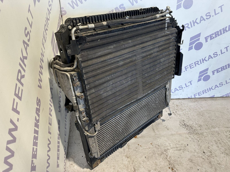 Chladič pre Nákladné auto Mercedes-Benz Actros MP4: obrázok 6 Chladič pre Nákladné auto Mercedes-Benz Actros MP4: obrázok 6