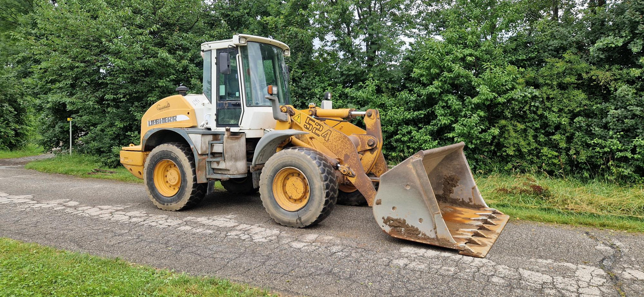 Leasing MICHELIN 17.5 R25 MICHELIN 17.5 R25: obrázok 6