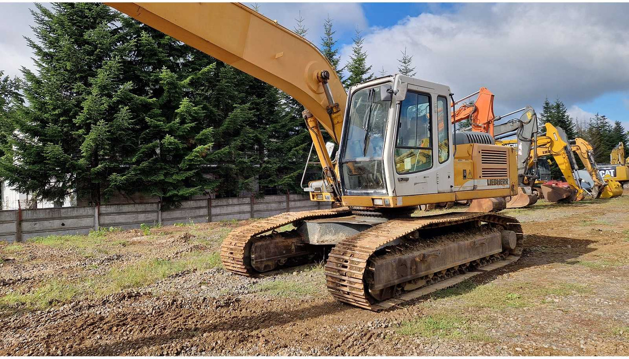 Rýpadlo 2006 LIEBHERR R924B LONG REACH TRACKED EXCAVATOR: obrázok 22
