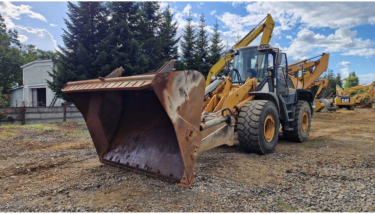 Liebherr L550 - Kolesový nakladač: obrázok 1 Liebherr L550 - Kolesový nakladač: obrázok 1