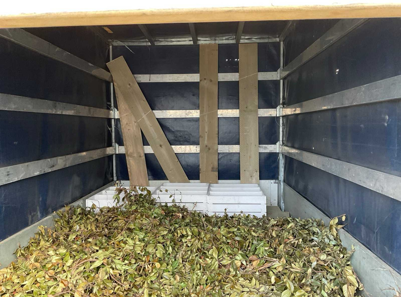 Príves ANSSEMS - 2005 - PSX2 - TRAILER: obrázok 11