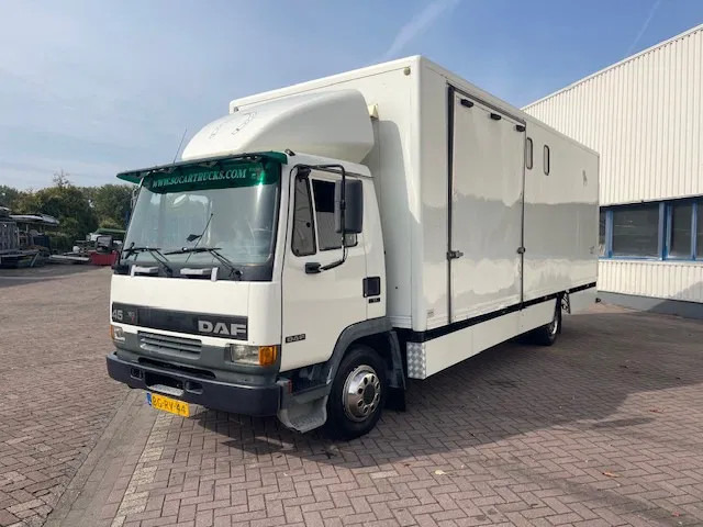 DAF LF 45.130 CLEAN HORSES NL-TRUCK - Nákladné auto na prepravu koní: obrázok 3 DAF LF 45.130 CLEAN HORSES NL-TRUCK - Nákladné auto na prepravu koní: obrázok 3
