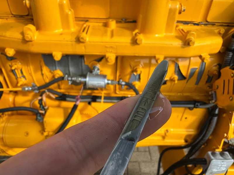 Ford Leroy Somer 80 kVA noodstroom generatorset ex Emergency 119 hours ! - Elektrický generátor: obrázok 3 Ford Leroy Somer 80 kVA noodstroom generatorset ex Emergency 119 hours ! - Elektrický generátor: obrázok 3