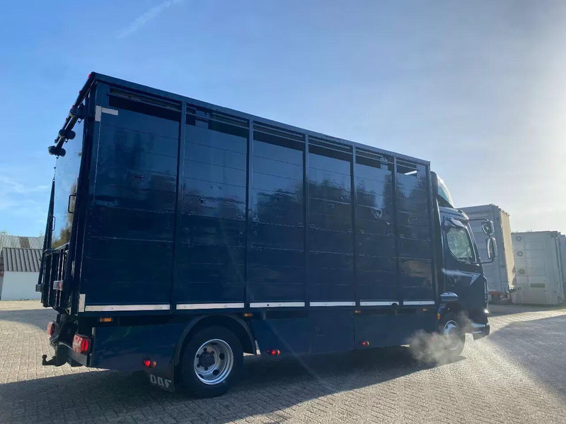 DAF LF 280 - Přepravník zvířat: obrázok 3 DAF LF 280 - Přepravník zvířat: obrázok 3