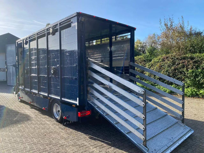 DAF LF 280 - Přepravník zvířat: obrázok 5 DAF LF 280 - Přepravník zvířat: obrázok 5