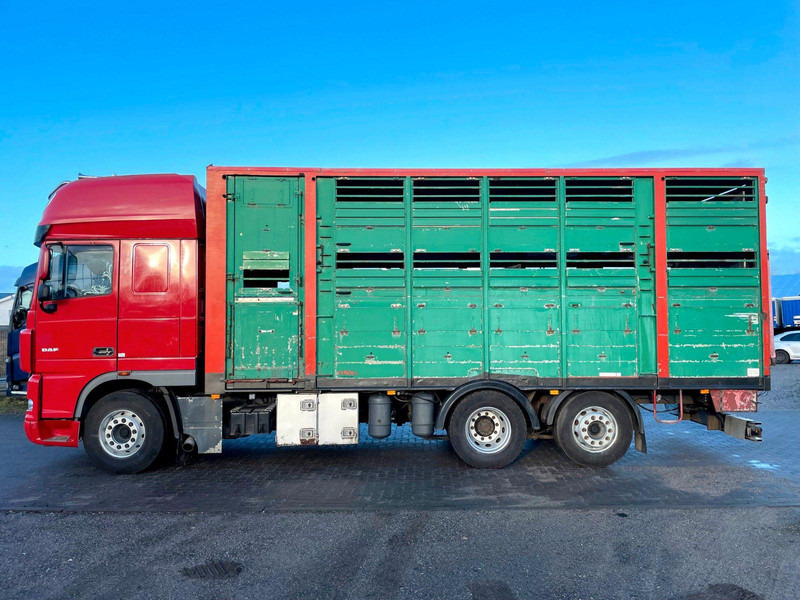 DAF XF 105.460 2-Stock Finkl Viehaufbau / Lenkachs - Přepravník zvířat: obrázok 5 DAF XF 105.460 2-Stock Finkl Viehaufbau / Lenkachs - Přepravník zvířat: obrázok 5