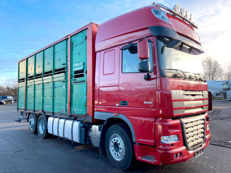 DAF XF 105.460 2-Stock Finkl Viehaufbau / Lenkachs - Přepravník zvířat: obrázok 1 DAF XF 105.460 2-Stock Finkl Viehaufbau / Lenkachs - Přepravník zvířat: obrázok 1