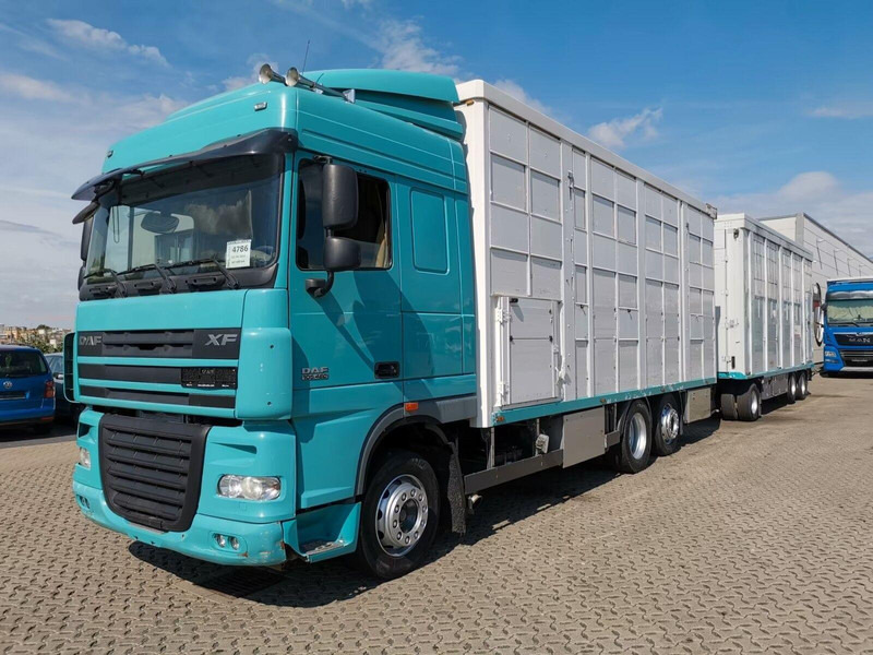 DAF XF 105.460 - Animal transporter + trailer - Přepravník zvířat: obrázok 1 DAF XF 105.460 - Animal transporter + trailer - Přepravník zvířat: obrázok 1