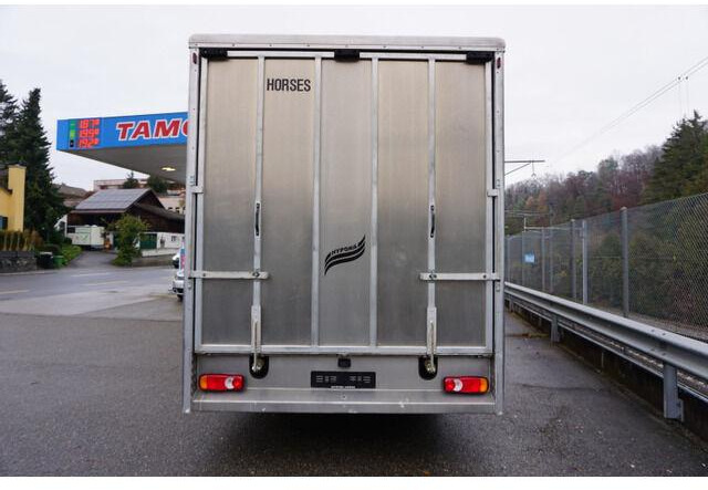 Leasing Iveco EUROCARGO 80-190 Lószállító Iveco EUROCARGO 80-190 Lószállító: obrázok 6 Leasing Iveco EUROCARGO 80-190 Lószállító Iveco EUROCARGO 80-190 Lószállító: obrázok 6