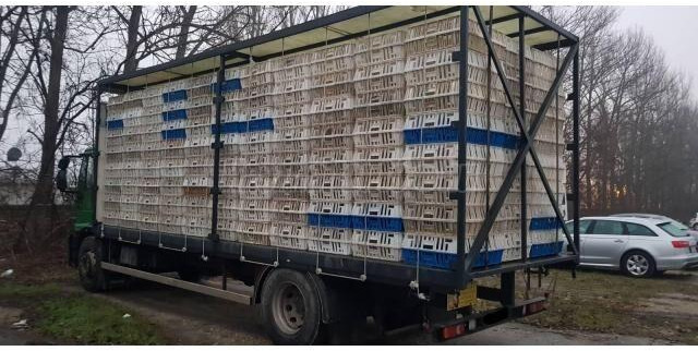 Iveco Eurocargo 180E28 - Přepravník zvířat: obrázok 3 Iveco Eurocargo 180E28 - Přepravník zvířat: obrázok 3