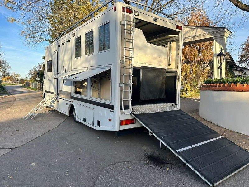 MAN 10.224 - Nákladné auto na prepravu koní: obrázok 5 MAN 10.224 - Nákladné auto na prepravu koní: obrázok 5