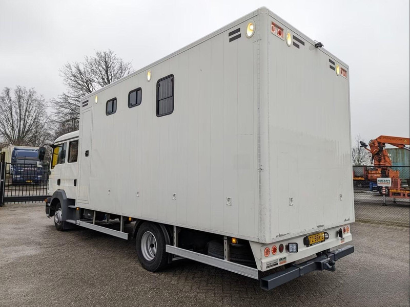 MAN TGL 12.180 - Doka Horse transporter - Nákladné auto na prepravu koní: obrázok 4 MAN TGL 12.180 - Doka Horse transporter - Nákladné auto na prepravu koní: obrázok 4