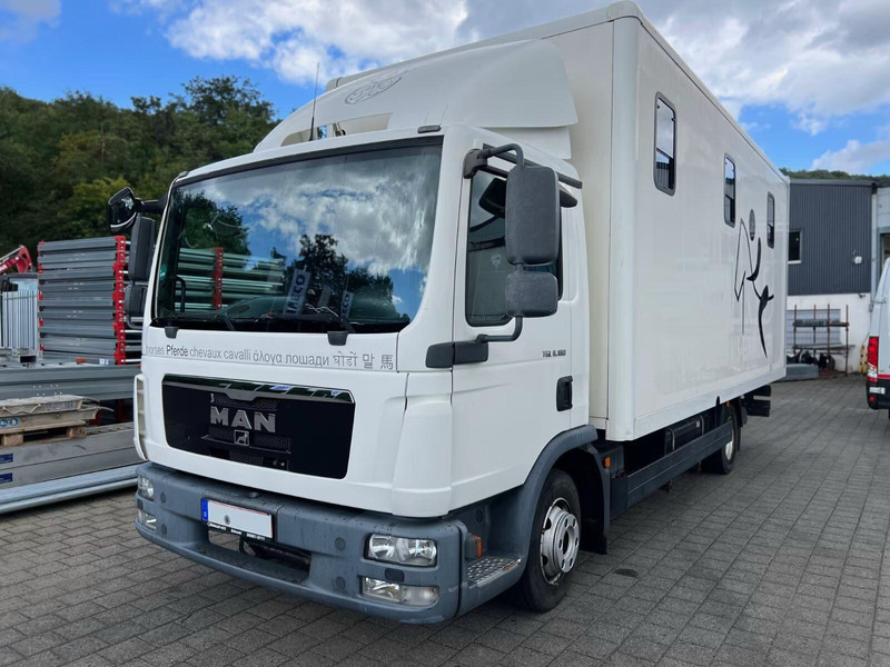 MAN TGL 8.180 - Horse transporter - Nákladné auto na prepravu koní: obrázok 1 MAN TGL 8.180 - Horse transporter - Nákladné auto na prepravu koní: obrázok 1