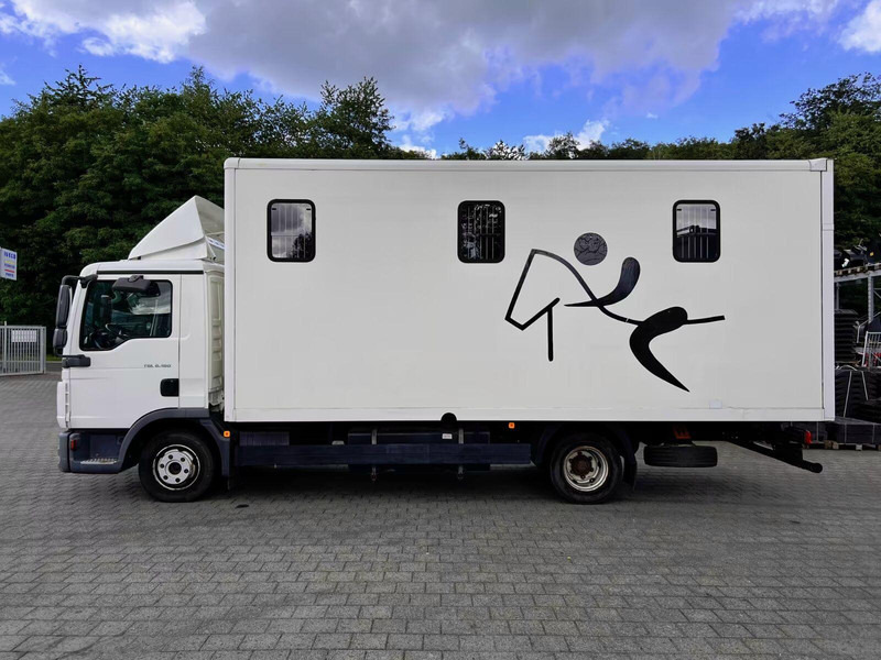 MAN TGL 8.180 - Horse transporter - Nákladné auto na prepravu koní: obrázok 3 MAN TGL 8.180 - Horse transporter - Nákladné auto na prepravu koní: obrázok 3