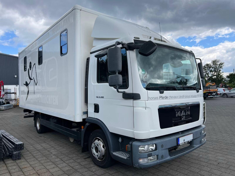 MAN TGL 8.180 - Horse transporter - Nákladné auto na prepravu koní: obrázok 2 MAN TGL 8.180 - Horse transporter - Nákladné auto na prepravu koní: obrázok 2