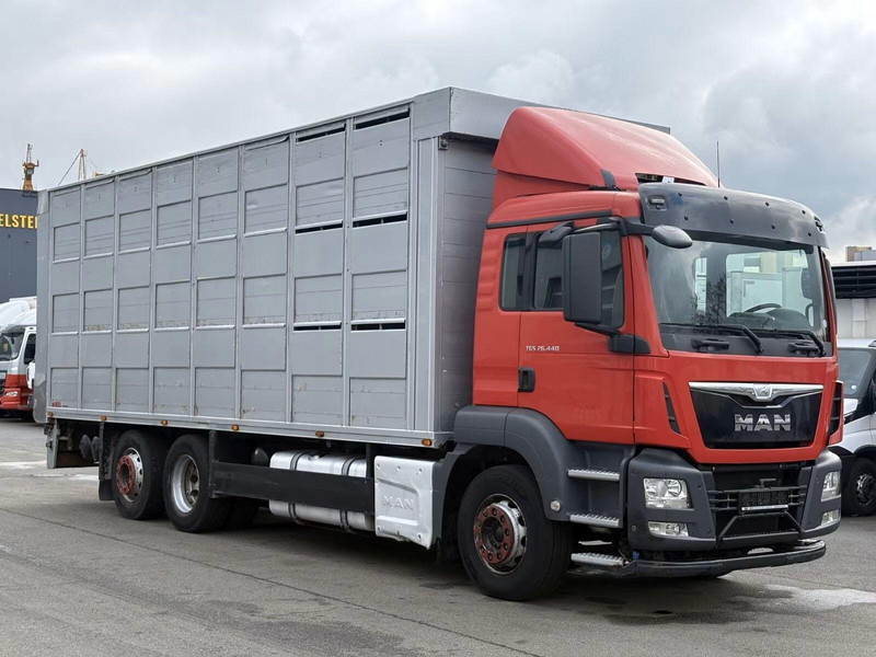 MAN TGS 26.440 - Animal transporter - Přepravník zvířat: obrázok 2 MAN TGS 26.440 - Animal transporter - Přepravník zvířat: obrázok 2