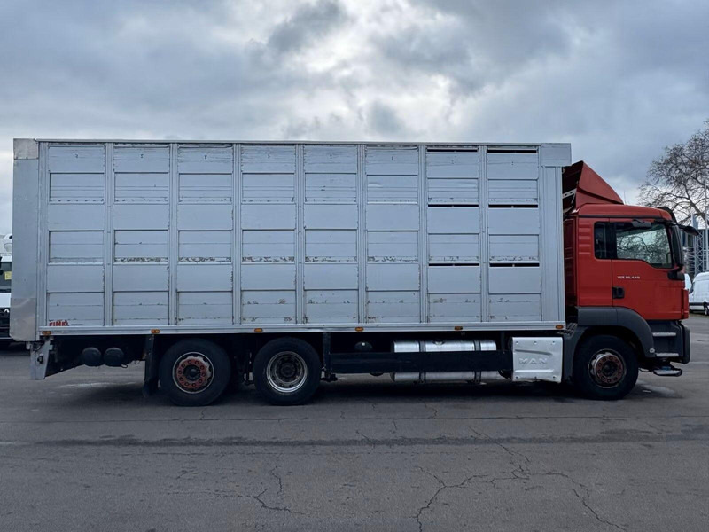 MAN TGS 26.440 - Animal transporter - Přepravník zvířat: obrázok 4 MAN TGS 26.440 - Animal transporter - Přepravník zvířat: obrázok 4