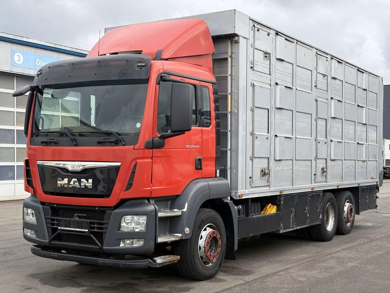 MAN TGS 26.440 - Animal transporter - Přepravník zvířat: obrázok 1 MAN TGS 26.440 - Animal transporter - Přepravník zvířat: obrázok 1