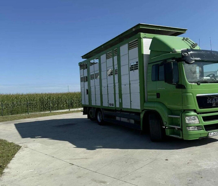 MAN TGS 26.440 Livestock Transporter - Three Deck - Přepravník zvířat: obrázok 4 MAN TGS 26.440 Livestock Transporter - Three Deck - Přepravník zvířat: obrázok 4