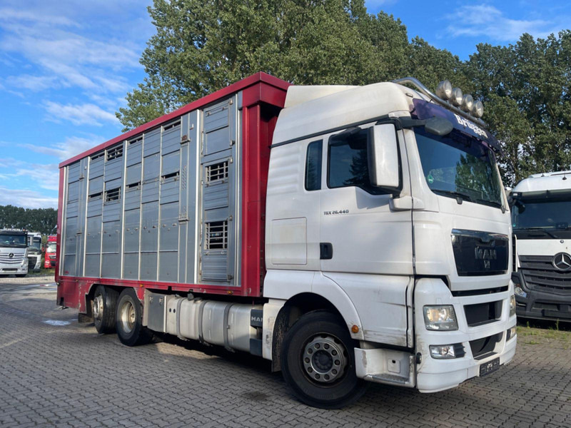 MAN TGX 26.400 6x2-2 LL 3 Stück Finkl Hubdach - Přepravník zvířat: obrázok 1 MAN TGX 26.400 6x2-2 LL 3 Stück Finkl Hubdach - Přepravník zvířat: obrázok 1