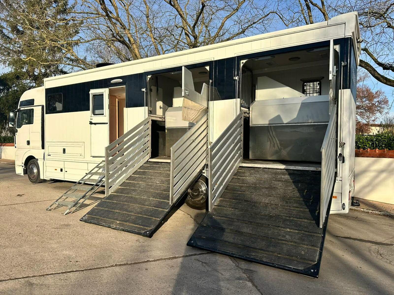 MAN TGX 26.440 - Horse transporter - Nákladné auto na prepravu koní: obrázok 5 MAN TGX 26.440 - Horse transporter - Nákladné auto na prepravu koní: obrázok 5