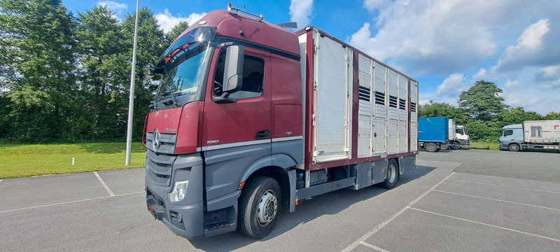 Mercedes-Benz Actros 1851 - Přepravník zvířat: obrázok 1 Mercedes-Benz Actros 1851 - Přepravník zvířat: obrázok 1