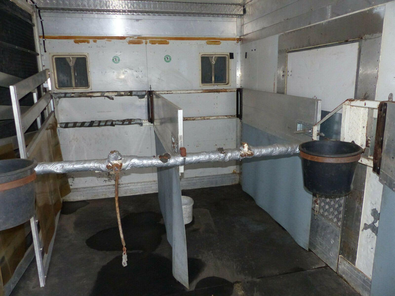 Nákladné auto na prepravu koní Mercedes-Benz Vario 818 Doka horse transporter + Tail lift: obrázok 13 Nákladné auto na prepravu koní Mercedes-Benz Vario 818 Doka horse transporter + Tail lift: obrázok 13