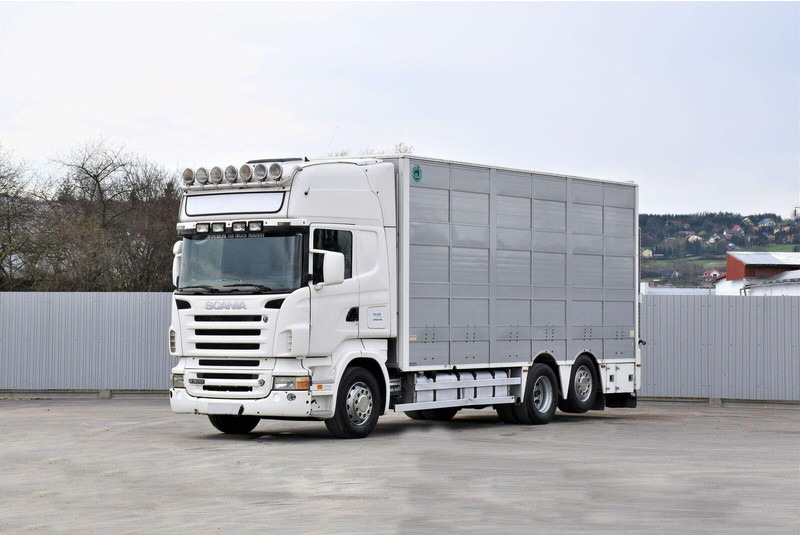 Scania R 500 - Přepravník zvířat: obrázok 1 Scania R 500 - Přepravník zvířat: obrázok 1