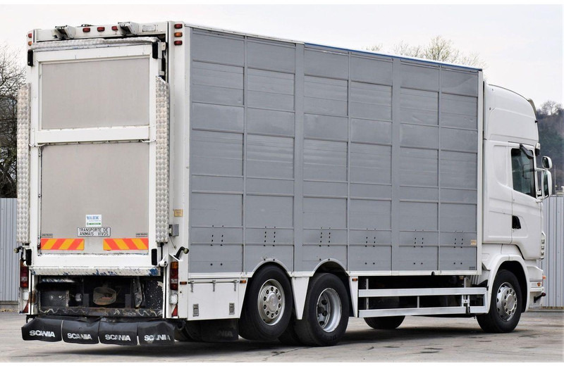 Scania R 500 - Přepravník zvířat: obrázok 5 Scania R 500 - Přepravník zvířat: obrázok 5