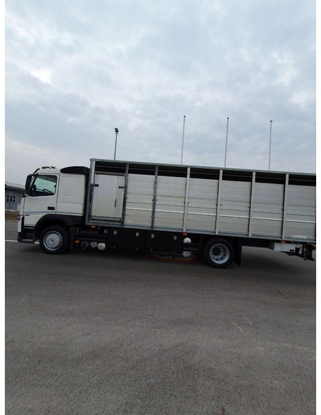 Volvo FM 500 Viehtransporter ( Rind / beef ) - Přepravník zvířat: obrázok 5 Volvo FM 500 Viehtransporter ( Rind / beef ) - Přepravník zvířat: obrázok 5