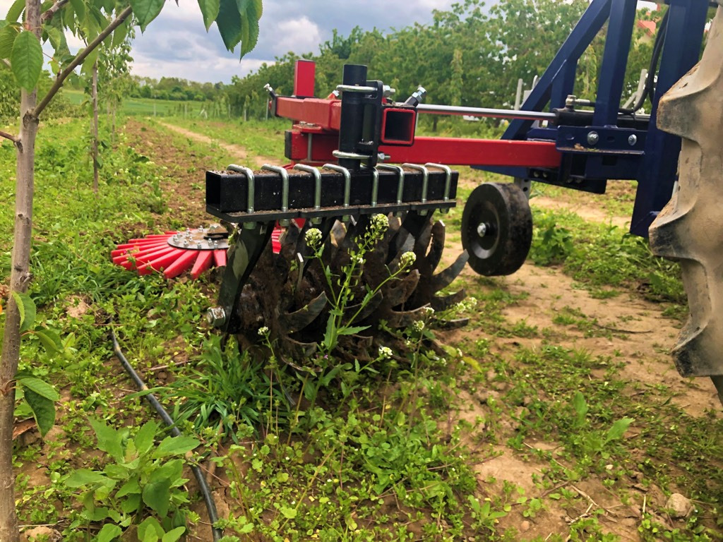 Jagoda one-sided orchard weeder KLAUDIA X1 - Kultivátor: obrázok 3 Jagoda one-sided orchard weeder KLAUDIA X1 - Kultivátor: obrázok 3
