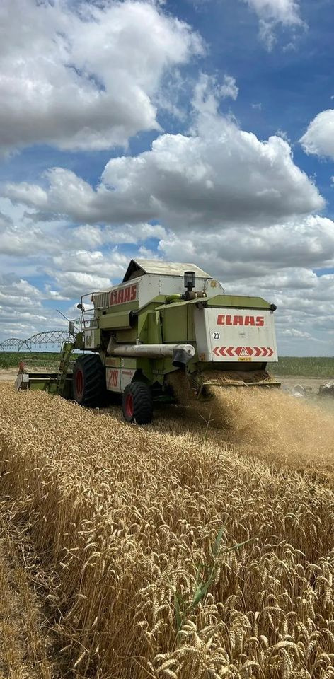 Claas MEGA 218 - Obilný kombajn: obrázok 5 Claas MEGA 218 - Obilný kombajn: obrázok 5