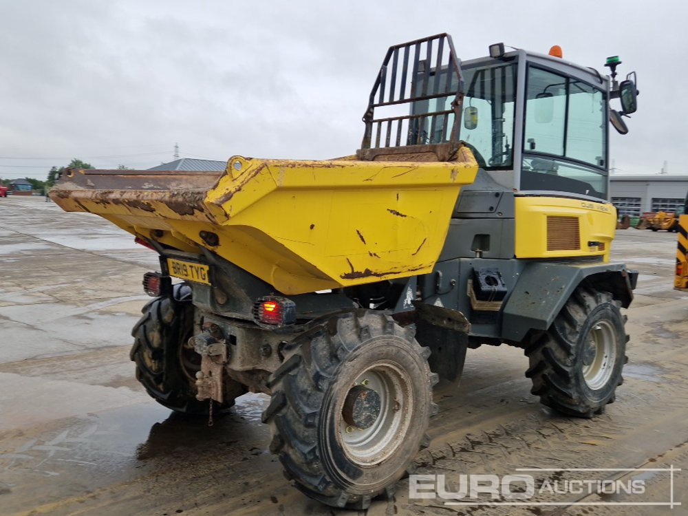 2019 Wacker Neuson DV60 - Mini damper: obrázok 5 2019 Wacker Neuson DV60 - Mini damper: obrázok 5