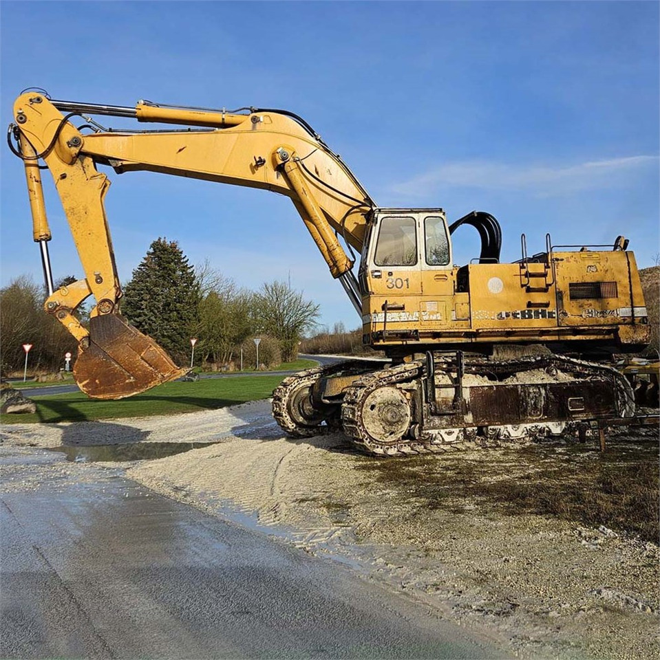 Liebherr R984 - Pásové rýpadlo: obrázok 2 Liebherr R984 - Pásové rýpadlo: obrázok 2