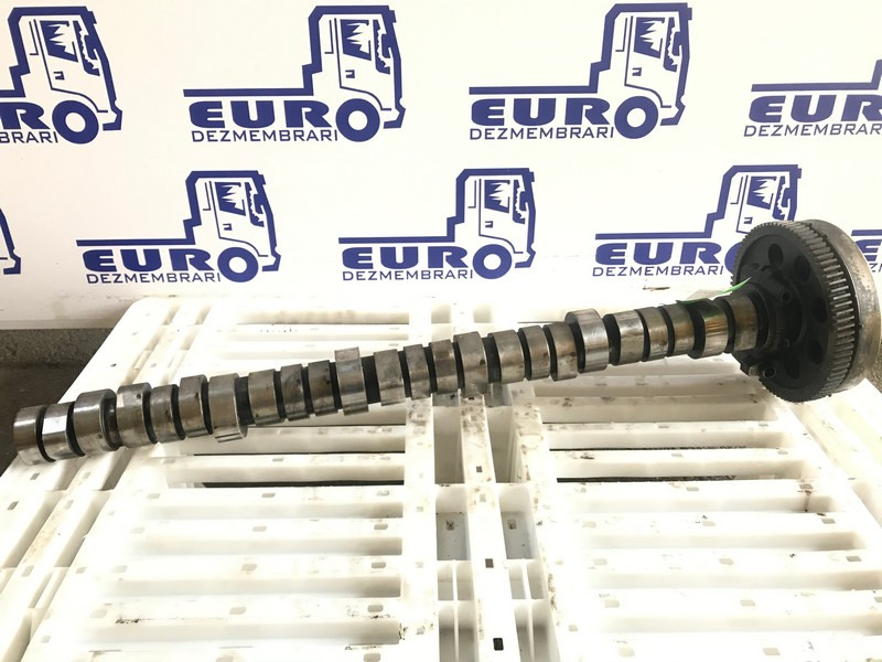 AX CU CAME RENAULT DXI 11 20746807 - Vačkový hriadeľ pre Nákladné auto: obrázok 1 AX CU CAME RENAULT DXI 11 20746807 - Vačkový hriadeľ pre Nákladné auto: obrázok 1